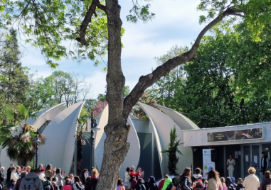 Малчугани рисуват в подкрепа на детското отделение в УМБАЛ “Св. Георги“