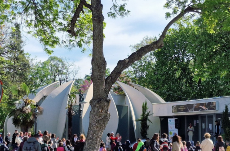 Малчугани рисуват в подкрепа на детското отделение в УМБАЛ “Св. Георги“