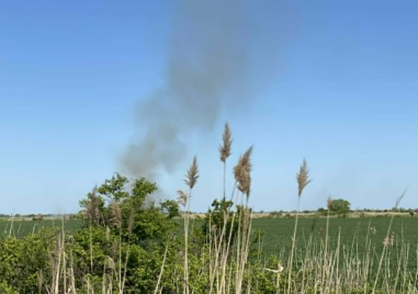 Пожар пламна на Околовръстното