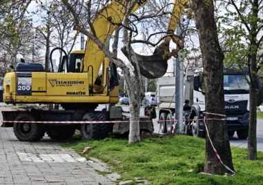 Зелена площ вместо планирания паркинг по бул. „Цариградско шосе“