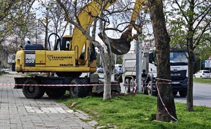 Зелена площ вместо планирания паркинг по бул. „Цариградско шосе“