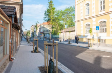 Специалисти с критика към кмета: Озеленяването се прави „на парче“, липсват визия и контрол