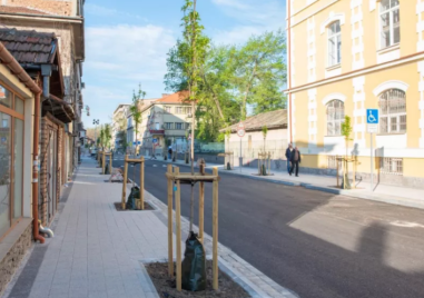 Специалисти с критика към кмета: Озеленяването се прави „на парче“, липсват визия и контрол