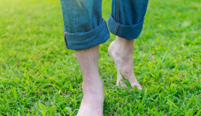 Ливаден дерматит около глезените - внимавайте при разходките в парка