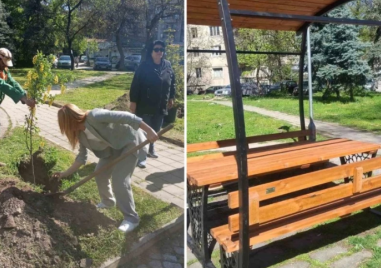 Нови 19 дръвчета, пейки и нова беседка в парк „Иван Рилски“