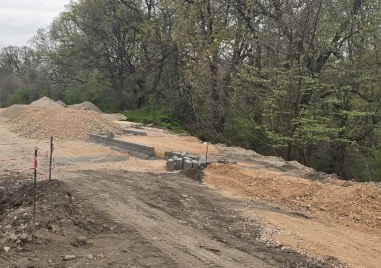 Община Хисаря: Налага се премахването на 10 дървета заради ремонт на улица