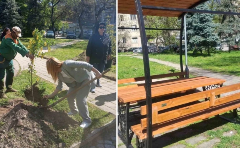 Нови 19 дръвчета, пейки и нова беседка в парк „Иван Рилски“