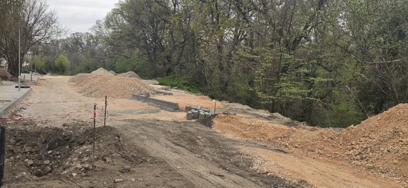 Община Хисаря: Налага се премахването на 10 дървета заради ремонт на улица