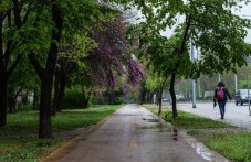 Предимно облачен, хладен и влажен първи ден на май в Пловдив