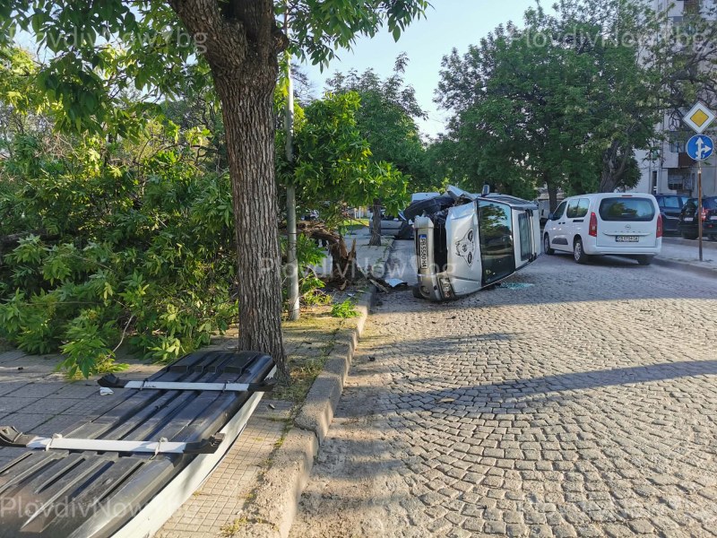 Кола се заби в дърво и се преобърна в Кючука