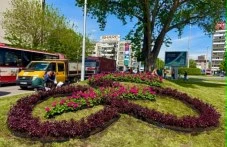 plovdiv-raztsafna-tsvetovete-dzhiro-667.webp