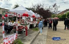 Сладък рекорд в Кричим: Приготвиха най-големия сладкиш „Павлова“ по време на Фестивала на ягодата СНИМКИ