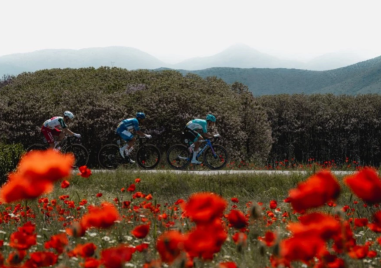 Докато някои броят колко сме дали за Giro d’Italia, други мечтаят за Tour de France!