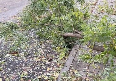 Обявиха жълт код за силен вятър в Пловдив и областта