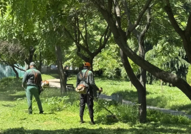 Общината: Косенето в Пловдив е от сутрин до вечер, дори и в почивните дни