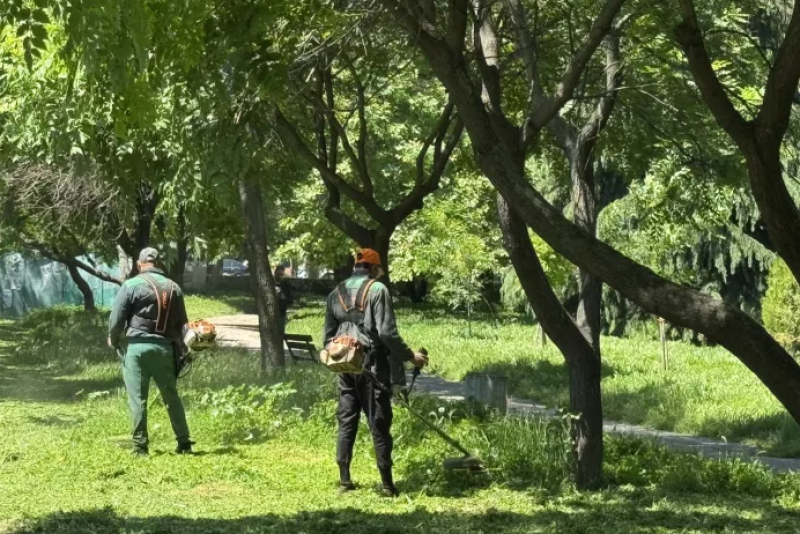 Общината: Косенето в Пловдив е от сутрин до вечер, дори и в почивните дни
