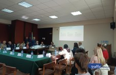 Архитекти и експерти алармираха за системно унищожаване на зеленината в Пловдив