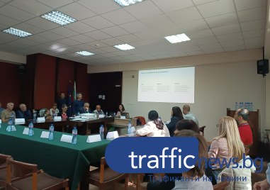 Архитекти и експерти алармираха за системно унищожаване на зеленината в Пловдив