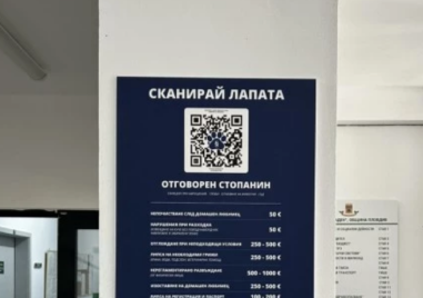 Националната кампания „Сканирай лапата“ в Пловдив: QR код учи как да спасим животно в беда