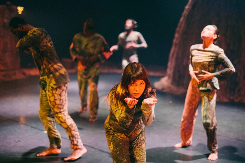 One Dance Festival със специална промоция за гражданите на Пловдив на 21 май