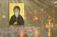 Преподобни Висарион египетски чудотворец  почита Църквата днес