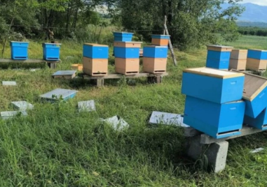 Бурята и градушката в Йоаким Груево съсипаха 30 кошера