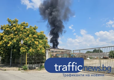 Отново черен дим над Пловдив: Пожар край КАТ в Шекера, горят боклуци