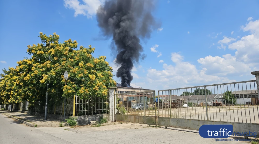 Отново черен дим над Пловдив: Пожар край КАТ в Шекера, горят боклуци