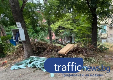 Кашони, клони и стара щора превърнаха зелена площ в сметище в Мараша СНИМКИ