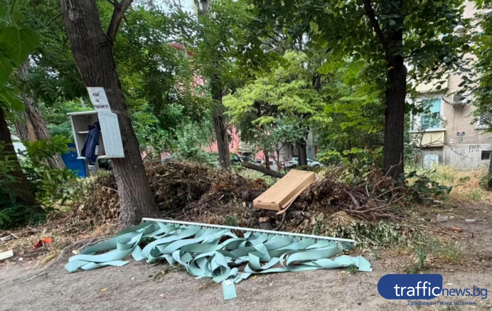 Кашони, клони и стара щора превърнаха зелена площ в сметище в Мараша СНИМКИ