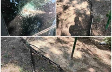 Сух клон се строши и падна върху кола в Смирненски
