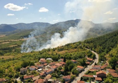 Солени глоби и затвор - затягат мерките срещу пожарите в Пловдивско
