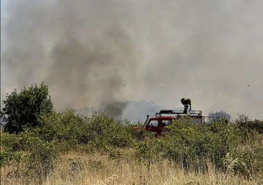 Голям пожар край Асеновград затвори пътя за Кърджали, шест екипа се борят с огнената стихия ВИДЕО