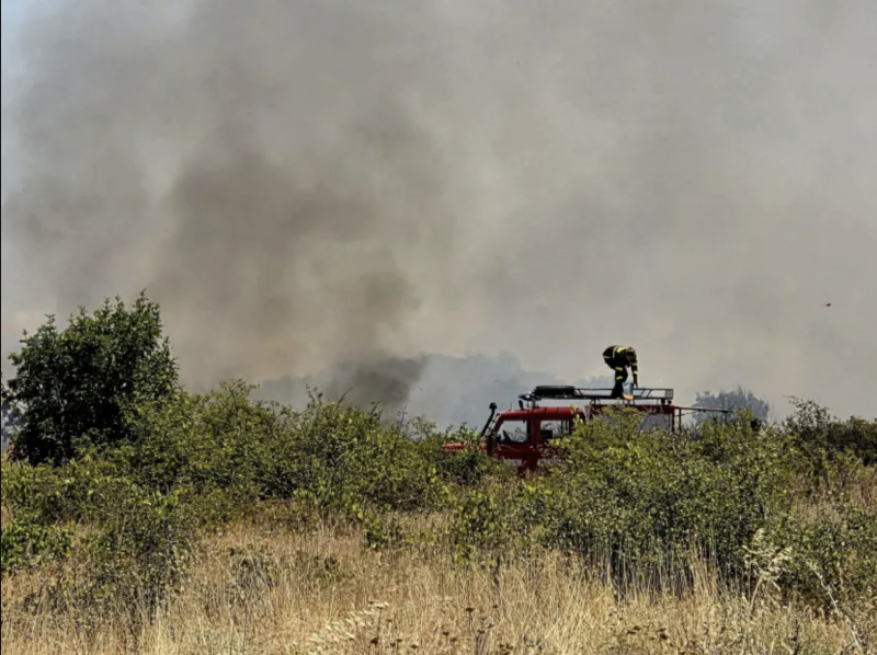 Голям пожар край Асеновград затвори пътя за Кърджали, шест екипа се борят с огнената стихия ВИДЕО