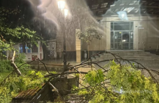 Бурята блокира Пловдив - паднали дървета, улици и булеварди под вода