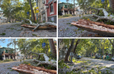 buriata-plovdiv-nad-400-signala-spaseni-201.png