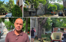 Кметът след урагана в Пловдив: Падналите дървета не са били сухи ВИДЕО