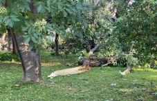 Общините Марица и Родопи се разминаха с минимални щети след бурята