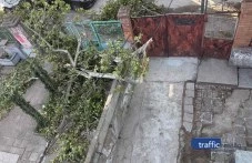 shtastliva-razvrazka-sasedi-i-803.webp