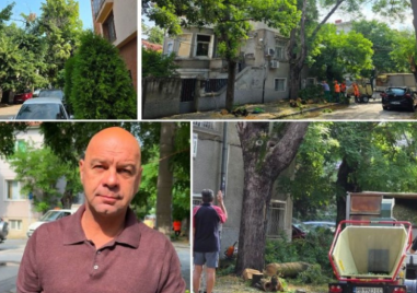 Кметът след урагана в Пловдив: Падналите дървета не са били сухи ВИДЕО