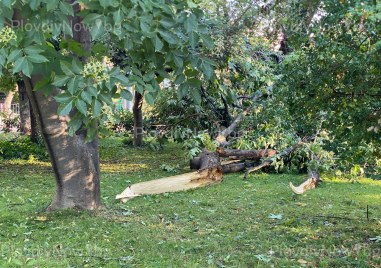 Общините Марица и Родопи се разминаха с минимални щети след бурята