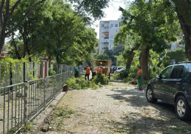 Продължават да отстраняват щетите от бурята снощи