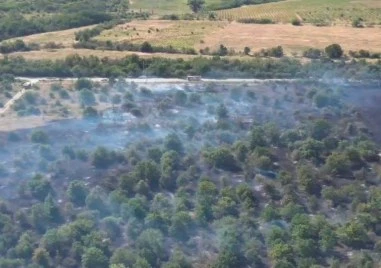 Пожар обхвана над 220 декара край Хисаря