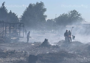 Какво остави след себе си пожарът край Асеновград СНИМКИ