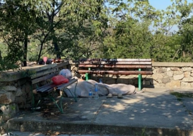 Бездомник превърна Сахат тепе в бунище
