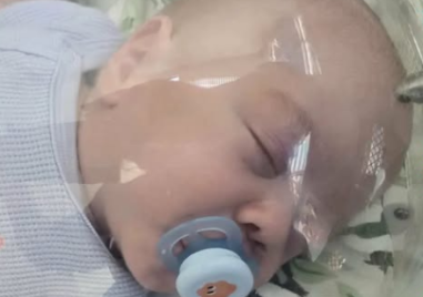 753 дарители събраха за 24 часа сумата, необходима за мъничкия Пепи