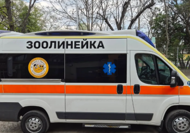 Първата зоолинейка в България вече е факт