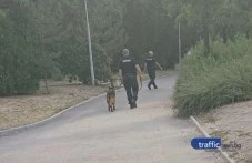 Закъсняла превенция и/или излишна поза? Полицаи с кучета обикалят Младежкия хълм