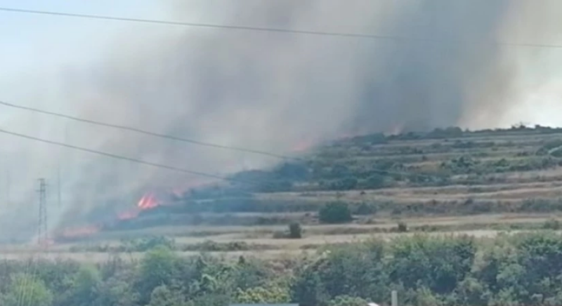 Нов пожар пламна край Асеновград