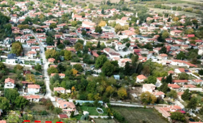 Осиновено момиче прекоси Европа, за да прегърне приемната си майка в Асеновградско